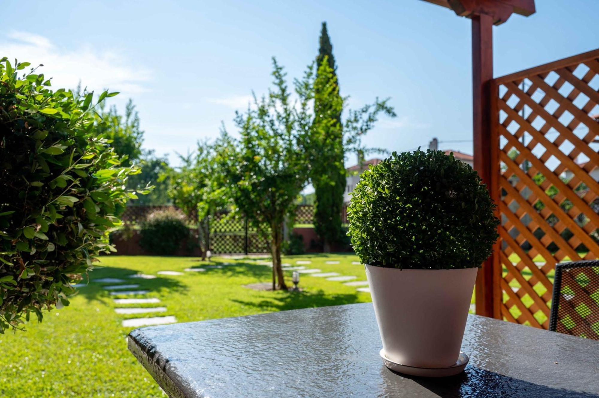 Melograno Apartments And Studios Kala Nera Exterior photo